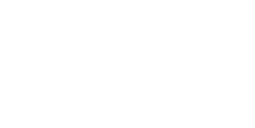 white Star Renewable Energy logo