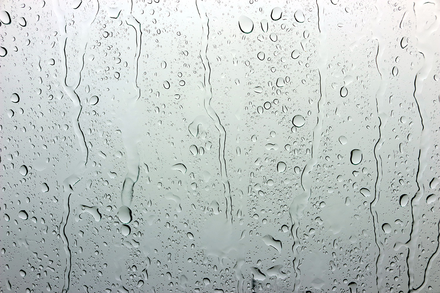 wet window